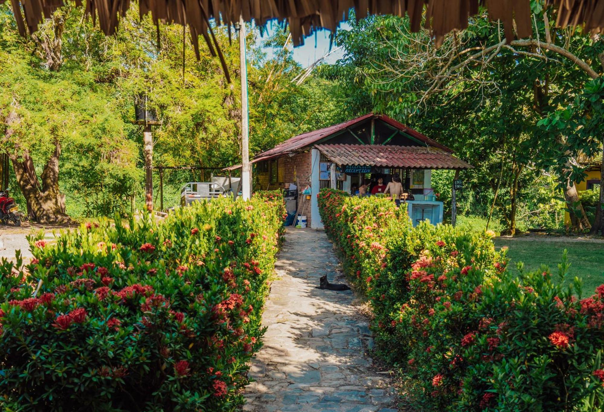 Jaba Jan Hostal Palomino Exterior photo